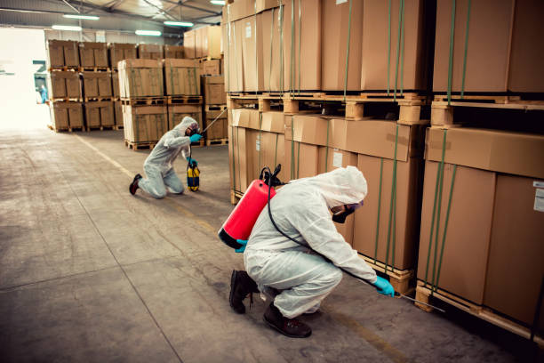 Best Emergency Pest Control  in Fuller Heights, FL