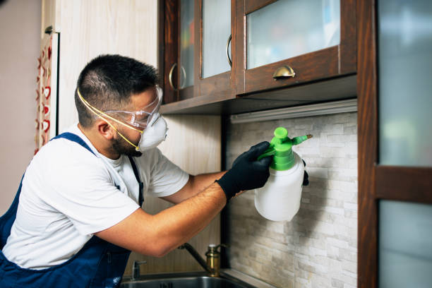 Trusted Fuller Heights, FL Pest Control Experts