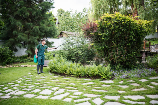 Wasp Removal Services in Fuller Heights, FL