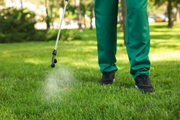 Best Bed Bug Extermination  in Fuller Heights, FL