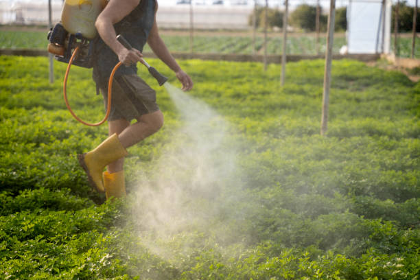 Best Pest Inspection Near Me  in Fuller Heights, FL