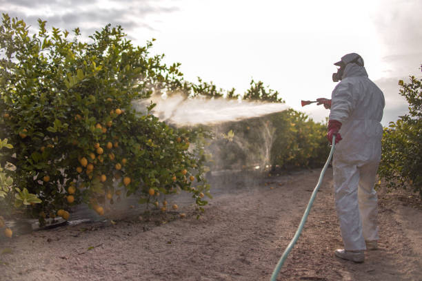 Best Pest Control Near Me  in Fuller Heights, FL
