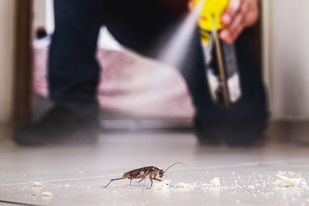 Best Local Pest Control Services  in Fuller Heights, FL