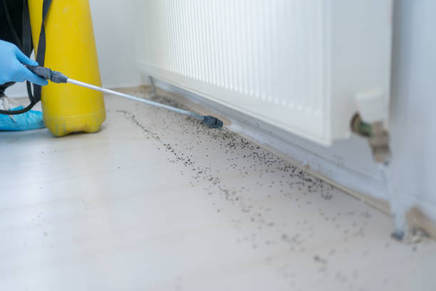 Best Pest Control Near Me  in Fuller Heights, FL