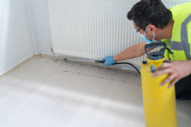 Best Pest Prevention Services  in Fuller Heights, FL