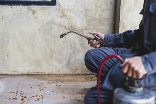 Best Wasp Removal Services  in Fuller Heights, FL